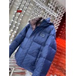 2024年12月9日秋冬高級N品新品 FENDI  ダウンジャケット 520工場