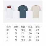 2024年12月24日秋冬高品質新品入荷 ディオール 半袖 Tシャツ NICE工場