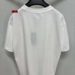 2024年12月24日秋冬高品質新品入荷 ディオール 半袖 Tシャツ NICE工場