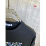 2024年12月26日入荷秋冬新品 LOEWE 長袖 Tシャツ dtai工場