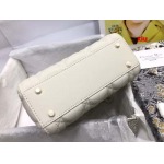 2025年早春高品質新品入荷 ディオール バッグ xiu工場
