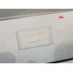2025年早春高品質新品入荷 ディオール バッグ xiu工場