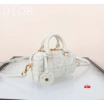 2025年早春高品質新品入荷 ディオール バッグ xiu工場