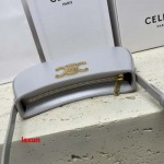 2025年早春原版復刻 新品入荷 CELINE 本革 バッグ xiu工場