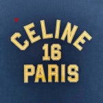 2025年1月9日早春新品入荷CELINE  半袖 Tシャツ FF工場