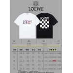 2025年1月17日春夏新品入荷LOEWE  半袖 Tシャツ CHIDAO工場