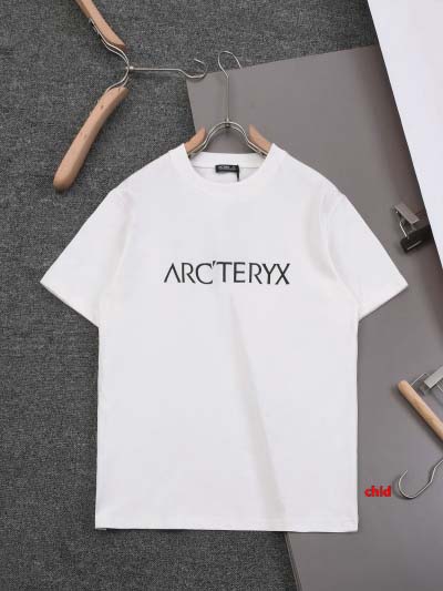 2025年1月17日春夏新品入荷ARCTERYX  半袖 T...