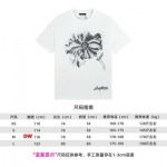 2025年1月20日春夏新品入荷 ルイヴィトン 半袖 TシャツDW工場