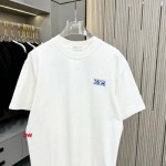 2025年1月20日春夏新品入荷ディオール  半袖 TシャツDW工場