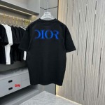 2025年1月20日春夏新品入荷ディオール  半袖 TシャツDW工場