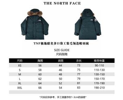 north face-ザ?ノース?フェイス TNF日本限定ポ...