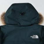 north face-ザ?ノース?フェイス TNF日本限定ポーラー...