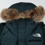 north face-ザ?ノース?フェイス TNF日本限定ポーラー...