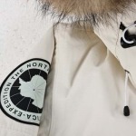 north face-ザ?ノース?フェイス TNF日本限定ポーラーコ...