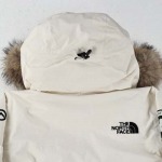 north face-ザ?ノース?フェイス TNF日本限定ポーラーコ...