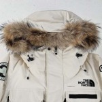 north face-ザ?ノース?フェイス TNF日本限定ポーラーコ...