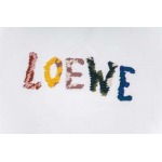 2025年2月20日高品質新品loewe半袖Tシャツ  FF工場