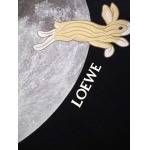 2025年3月1日春夏高品質新品loewe半袖 tシャツDW工場