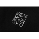2025年3月1日春夏高品質新品LOEWE半袖 tシャツDW工場