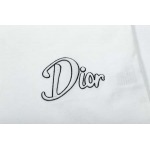 2025年3月2日春夏高品質新品Dior半袖 tシャツDW工場