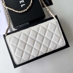 2025年3月17日新品バッグChanel  18x10.5x3.5cm A50076  zy工場