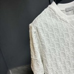 2025年3月26日入荷春夏高品質新作Dior半袖 tシャツTF工場