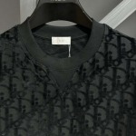 2025年3月26日入荷春夏高品質新作Dior半袖 tシャツTF工場