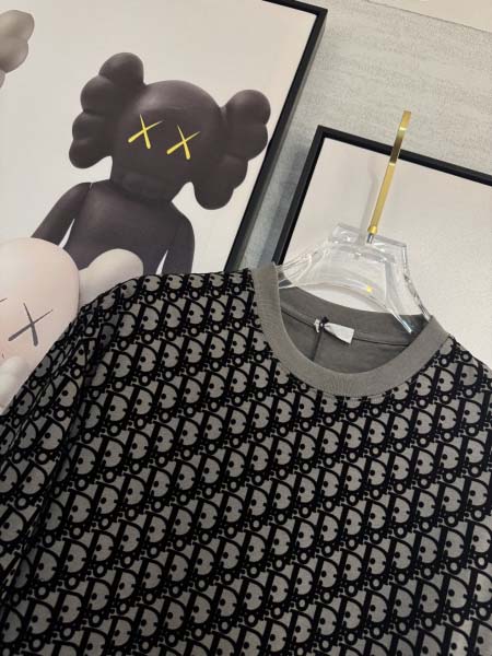 2025年4月4日入荷新作DIOR半袖 Tシャツ高級品/LD工場