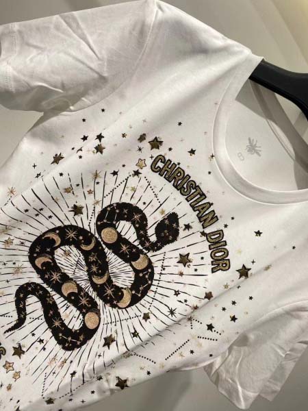2025年4月30日入荷春夏新作Dior半袖Tシャツ can工場