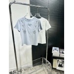 2025年4月30日入荷春夏新作DIOR半袖Tシャツ can工場