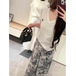 2025年4月30日入荷春夏新作Dior半袖Tシャツ can工場