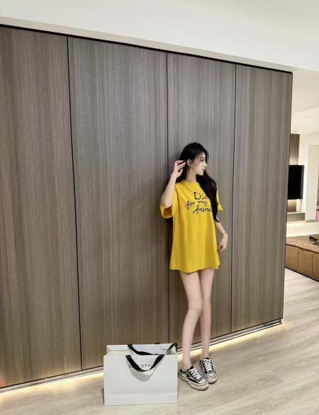 2025年4月30日入荷春夏新作DIOR半袖Tシャツ can...