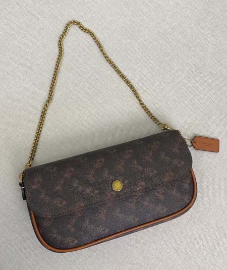 2025年5月28日入荷新作Coach 2月新品 CAN90 CAN91 CAN92 Brook Chain bag  SIZE:  23-12-4   お安い/人気/本革 バッグ/XX工場