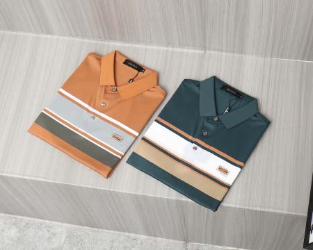 2025年5月16日入荷新作ZEGNA半袖 Tシャツ高品質/人気/誕生日プレゼント/bst工場