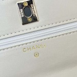 2025年5月28日入荷新作 新品 Chanel  SIZE:19.5cmお安い/人気/本革 バッグ/XX工場