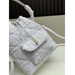 2025年5月28日入荷新作 Dior caro  SIZE:20x24x9CM  お安い/人気/本革 バッグ/XX工場