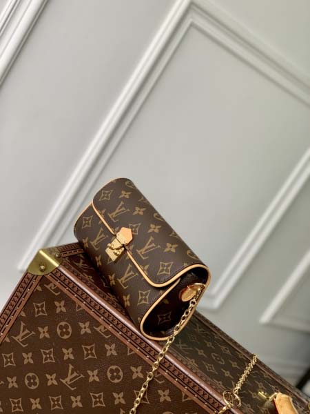 2025年6月26日入荷Louis Vuitton バッグ Pochette Camille Monogram 2000 S-Lock LV Circle VVN S-Lock Rosalie 6.9 :M13566:20.5CMx11CM