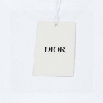 2025年6月6日入荷新作DIOR半袖 Tシャツ誕生日プレゼントの服/人気/BC工場XS-L