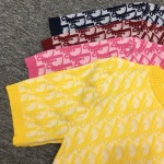 2025年6月9日入荷春夏新作Diorニット半袖ファッション/誕生日プレゼント/贈り物 can工場