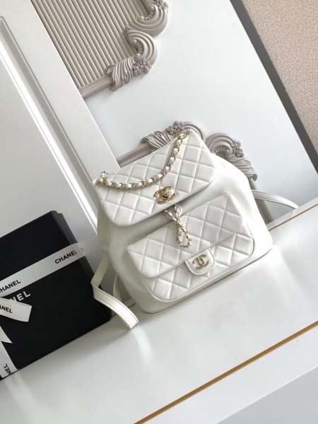2025年7月17日入荷新作シャネル バッグ最高級品CHEANL AS3618  22C 早春 Size:22x25x18cm恋人プレゼント/誕生日/母の日/母のひプレゼント/お祝い女性結婚祝い/KK工場