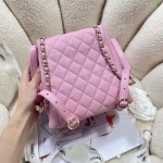 2025年7月17日入荷新作シャネル バッグ最高級品23P  3860  Size:20.5*20*12cm恋人プレゼント/誕生日/母の日/母のひプレゼント/お祝い女性結婚祝い/KK工場