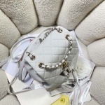 2025年7月17日入荷新作シャネル バッグ最高級品23P 3860  Size:20.5*20*12cm恋人プレゼント/誕生日/母の日/母のひプレゼント/お祝い女性結婚祝い/KK工場