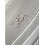 2025年7月17日入荷新作シャネル バッグ最高級品25A  AP3238  Size10-18-4.5恋人プレゼント/誕生日/母の日/母のひプレゼント/お祝い女性結婚祝い/KK工場
