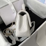 2025年7月17日入荷新作シャネル バッグ最高級品Chanel  21K AS2431 Size:20x12x6cm恋人プレゼント/誕生日/母の日/母のひプレゼント/お祝い女性結婚祝い/KK工場