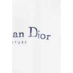2025年7月27日入荷新作DIOR半袖 tシャツ高品質人気商品/DW工場