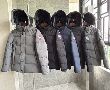 2025年10月20日秋冬入荷新作Canada gooseダ...