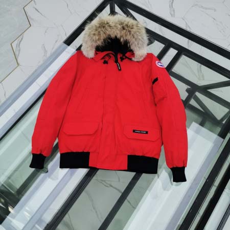 2025年10月20日秋冬入荷新作Canada gooseダ...