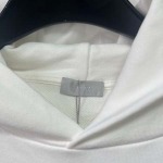 2025年11月3日秋冬新作Dior パーカー高品質人気商品/LDF工場